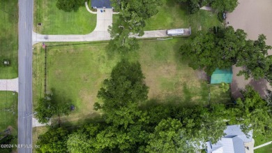 PRICE REDUCED! Build your dream home in sought after Palm on Plantation at Ponte Vedra in Florida - for sale on GolfHomes.com, golf home, golf lot