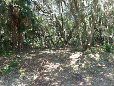 Very desirable 3rd row lot on Myrtle Street just around the on The Plantation Course At Edisto in South Carolina - for sale on GolfHomes.com, golf home, golf lot