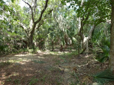 Very desirable 3rd row lot on Myrtle Street just around the on The Plantation Course At Edisto in South Carolina - for sale on GolfHomes.com, golf home, golf lot