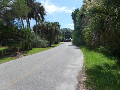 Very desirable 3rd row lot on Myrtle Street just around the on The Plantation Course At Edisto in South Carolina - for sale on GolfHomes.com, golf home, golf lot