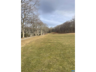 Step into a beautifully transformed contemporary condo where on Devils Knob in Virginia - for sale on GolfHomes.com, golf home, golf lot