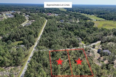 Oversized lot. Prime location. Unlimited potential. These two on The Lakes Country Club in North Carolina - for sale on GolfHomes.com, golf home, golf lot