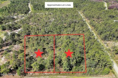 Oversized lot. Prime location. Unlimited potential. These two on The Lakes Country Club in North Carolina - for sale on GolfHomes.com, golf home, golf lot