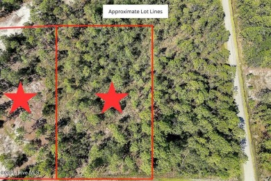 Oversized lot. Prime location. Unlimited potential. These two on The Lakes Country Club in North Carolina - for sale on GolfHomes.com, golf home, golf lot