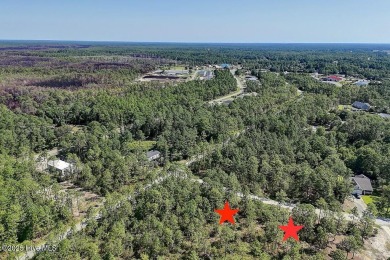 Oversized lot. Prime location. Unlimited potential. These two on The Lakes Country Club in North Carolina - for sale on GolfHomes.com, golf home, golf lot