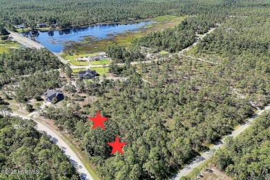 Oversized lot. Prime location. Unlimited potential. These two on The Lakes Country Club in North Carolina - for sale on GolfHomes.com, golf home, golf lot