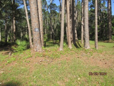 Beautiful Bayview lots to build your home. Make every day a on St. James Bay in Florida - for sale on GolfHomes.com, golf home, golf lot