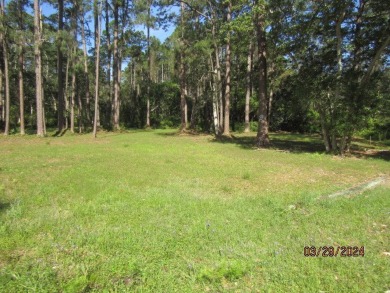 Beautiful Bayview lots to build your home. Make every day a on St. James Bay in Florida - for sale on GolfHomes.com, golf home, golf lot