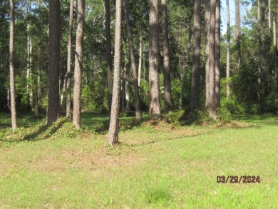 Beautiful Bayview lots to build your home. Make every day a on St. James Bay in Florida - for sale on GolfHomes.com, golf home, golf lot