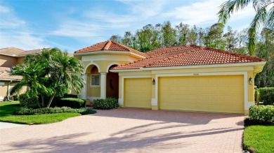 Privacy in Your Heated Saltwater Pool, Spa, and Lanai Paradise on Stoneybrook Golf Club At Heritage Harbour in Florida - for sale on GolfHomes.com, golf home, golf lot