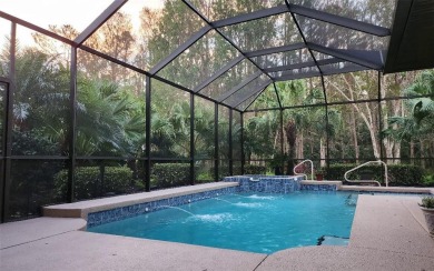 Privacy in Your Heated Saltwater Pool, Spa, and Lanai Paradise on Stoneybrook Golf Club At Heritage Harbour in Florida - for sale on GolfHomes.com, golf home, golf lot