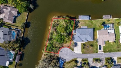 Prime Tip Lot on Saltwater Canal - Build Your Dream Waterfront on Palm Harbor Golf Club in Florida - for sale on GolfHomes.com, golf home, golf lot