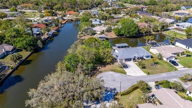 Prime Tip Lot on Saltwater Canal - Build Your Dream Waterfront on Palm Harbor Golf Club in Florida - for sale on GolfHomes.com, golf home, golf lot