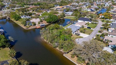 Prime Tip Lot on Saltwater Canal - Build Your Dream Waterfront on Palm Harbor Golf Club in Florida - for sale on GolfHomes.com, golf home, golf lot
