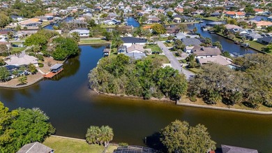 Prime Tip Lot on Saltwater Canal - Build Your Dream Waterfront on Palm Harbor Golf Club in Florida - for sale on GolfHomes.com, golf home, golf lot