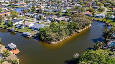Prime Tip Lot on Saltwater Canal - Build Your Dream Waterfront on Palm Harbor Golf Club in Florida - for sale on GolfHomes.com, golf home, golf lot