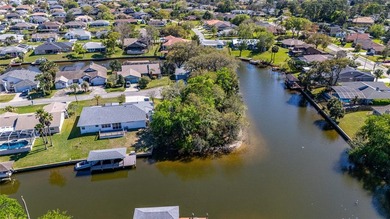Prime Tip Lot on Saltwater Canal - Build Your Dream Waterfront on Palm Harbor Golf Club in Florida - for sale on GolfHomes.com, golf home, golf lot