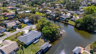 Prime Tip Lot on Saltwater Canal - Build Your Dream Waterfront on Palm Harbor Golf Club in Florida - for sale on GolfHomes.com, golf home, golf lot