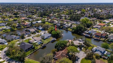 Prime Tip Lot on Saltwater Canal - Build Your Dream Waterfront on Palm Harbor Golf Club in Florida - for sale on GolfHomes.com, golf home, golf lot