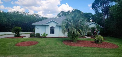 Discover Unparalleled Privacy and Spacious Living in Sebring's on Sun n Lake Golf and Country Club in Florida - for sale on GolfHomes.com, golf home, golf lot