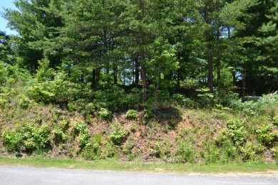 Take advantage of this unique chance to build your dream home on on Old Toccoa Farm Golf Club in Georgia - for sale on GolfHomes.com, golf home, golf lot