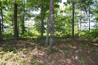 Take advantage of this unique chance to build your dream home on on Old Toccoa Farm Golf Club in Georgia - for sale on GolfHomes.com, golf home, golf lot