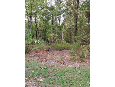 Be a part of Diamante Country Club.....Build your dream home on on Diamante Golf and Country Club in Arkansas - for sale on GolfHomes.com, golf home, golf lot