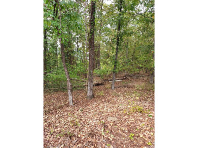 Be a part of Diamante Country Club.....Build your dream home on on Diamante Golf and Country Club in Arkansas - for sale on GolfHomes.com, golf home, golf lot
