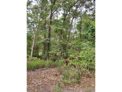 Be a part of Diamante Country Club.....Build your dream home on on Diamante Golf and Country Club in Arkansas - for sale on GolfHomes.com, golf home, golf lot