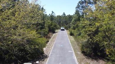 New opportunity to own land near the Port St Joe Golf Course and on Saint Josephs Bay Country Club in Florida - for sale on GolfHomes.com, golf home, golf lot