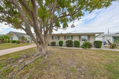 WELCOME TO YOUR CHARMING  PICTURESQUE SOUTH LAKE HOME WITH A on North Lakes Golf Course in Florida - for sale on GolfHomes.com, golf home, golf lot