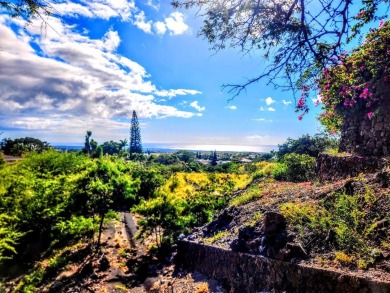 Spectacular Ocean Sunset Views from Quite Cul-de-sac. Located at on Waikoloa Village Golf Club in Hawaii - for sale on GolfHomes.com, golf home, golf lot