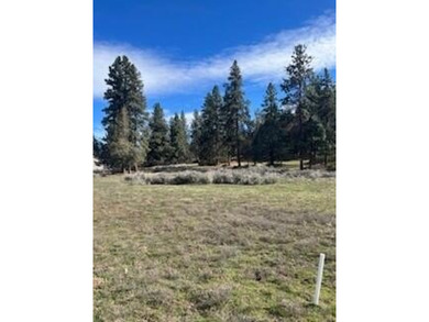 Looking for the perfect Running Y lot near the lake? This may be on Running Y Ranch Resort in Oregon - for sale on GolfHomes.com, golf home, golf lot