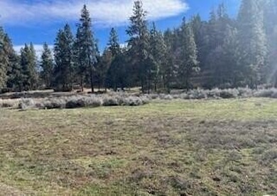 Looking for the perfect Running Y lot near the lake? This may be on Running Y Ranch Resort in Oregon - for sale on GolfHomes.com, golf home, golf lot