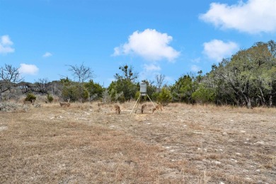 Experience the serenity of Texas Hill Country living while on Delaware Springs Golf Course in Texas - for sale on GolfHomes.com, golf home, golf lot