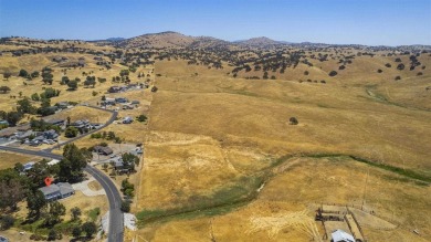 CUSTOM HOME in the sought after Lake Don Pedro Community where on Lake Don Pedro Golf Course in California - for sale on GolfHomes.com, golf home, golf lot