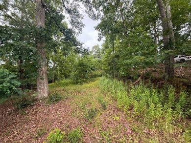 Discover the perfect canvas for your dream home on an ideal 1 on Chatuge Shores Golf Course in North Carolina - for sale on GolfHomes.com, golf home, golf lot