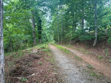 Discover the perfect canvas for your dream home on an ideal 1 on Chatuge Shores Golf Course in North Carolina - for sale on GolfHomes.com, golf home, golf lot