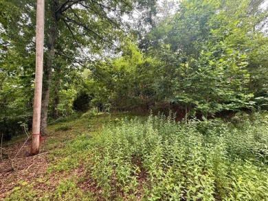 Discover the perfect canvas for your dream home on an ideal 1 on Chatuge Shores Golf Course in North Carolina - for sale on GolfHomes.com, golf home, golf lot