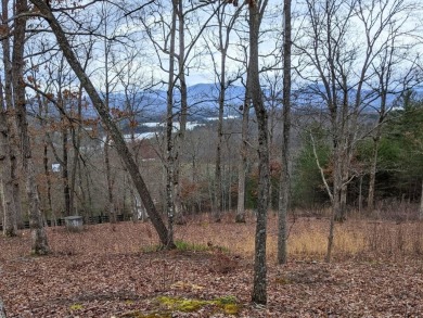 Discover the perfect canvas for your dream home on an ideal 1 on Chatuge Shores Golf Course in North Carolina - for sale on GolfHomes.com, golf home, golf lot