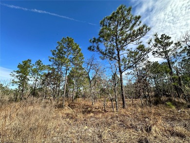 WILLISTON HIGHLANDS GOLF & COUNTRY CLUB ESTATES BUILDING LOT! on Williston Highlands Golf and Country Club in Florida - for sale on GolfHomes.com, golf home, golf lot
