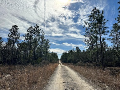 WILLISTON HIGHLANDS GOLF & COUNTRY CLUB ESTATES BUILDING LOT! on Williston Highlands Golf and Country Club in Florida - for sale on GolfHomes.com, golf home, golf lot