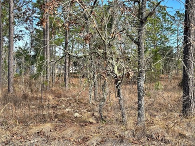 WILLISTON HIGHLANDS GOLF & COUNTRY CLUB ESTATES BUILDING LOT! on Williston Highlands Golf and Country Club in Florida - for sale on GolfHomes.com, golf home, golf lot