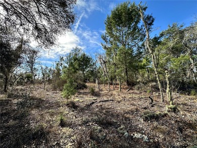 WILLISTON HIGHLANDS GOLF & COUNTRY CLUB 1/4 ACRE BUILDING LOT! A on Williston Highlands Golf and Country Club in Florida - for sale on GolfHomes.com, golf home, golf lot