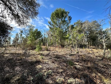 WILLISTON HIGHLANDS GOLF & COUNTRY CLUB 1/4 ACRE BUILDING LOT! A on Williston Highlands Golf and Country Club in Florida - for sale on GolfHomes.com, golf home, golf lot