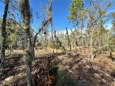 WILLISTON HIGHLANDS GOLF & COUNTRY CLUB 1/4 ACRE BUILDING LOT! A on Williston Highlands Golf and Country Club in Florida - for sale on GolfHomes.com, golf home, golf lot