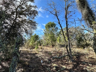 WILLISTON HIGHLANDS GOLF & COUNTRY CLUB 1/4 ACRE BUILDING LOT! A on Williston Highlands Golf and Country Club in Florida - for sale on GolfHomes.com, golf home, golf lot