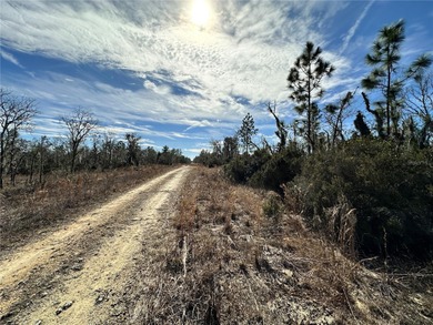 WILLISTON HIGHLANDS GOLF & COUNTRY CLUB 1/4 ACRE BUILDING LOT! A on Williston Highlands Golf and Country Club in Florida - for sale on GolfHomes.com, golf home, golf lot