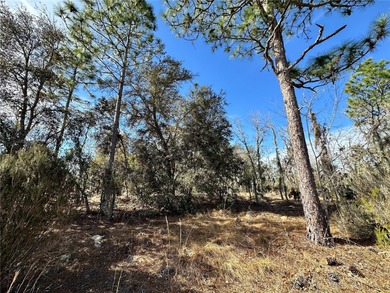 WILLISTON HIGHLANDS GOLF & COUNTRY CLUB 1/4 ACRE BUILDING LOT! A on Williston Highlands Golf and Country Club in Florida - for sale on GolfHomes.com, golf home, golf lot