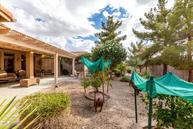 Versatile Spyglass Model w/ Golf Cart garage in the GATED, ADULT on Oakwood Golf Club  in Arizona - for sale on GolfHomes.com, golf home, golf lot
